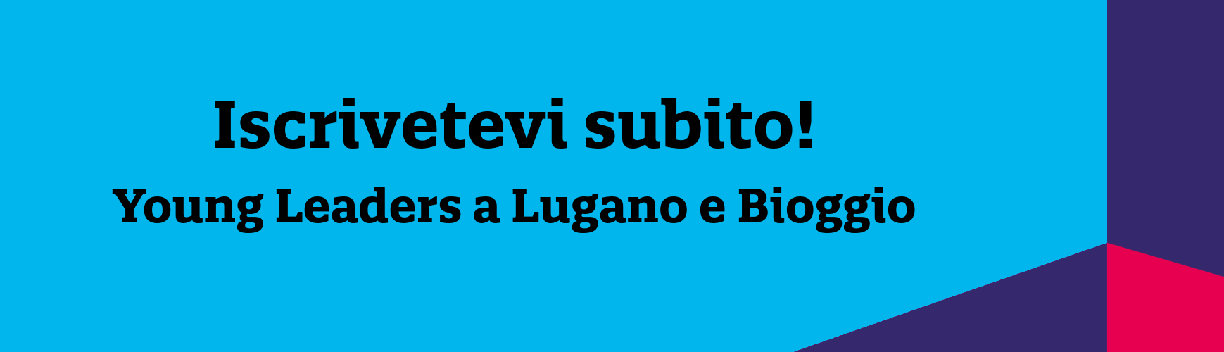 Young Leaders Titelbild IT