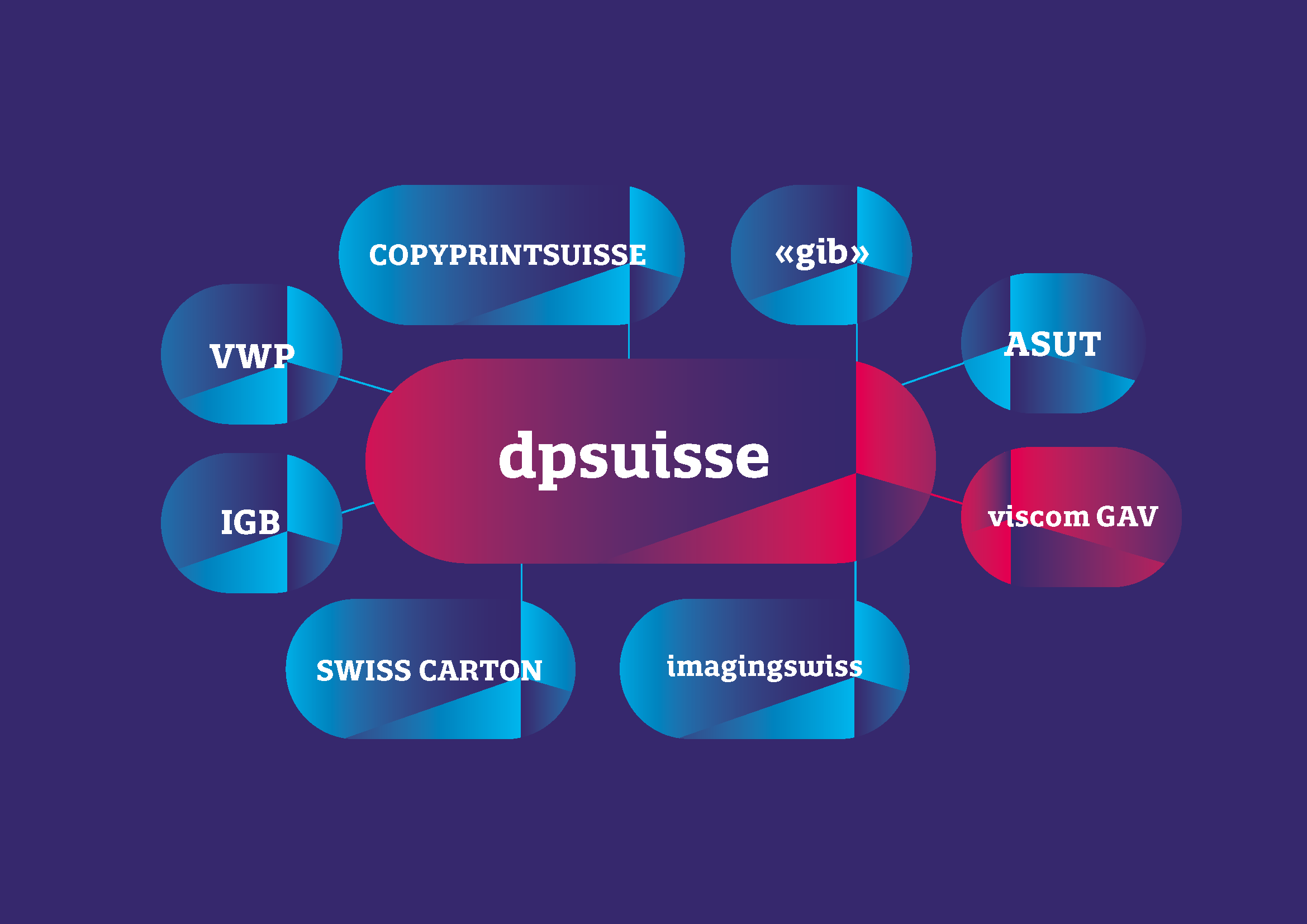dpsuisse-Visualisierung-Verband