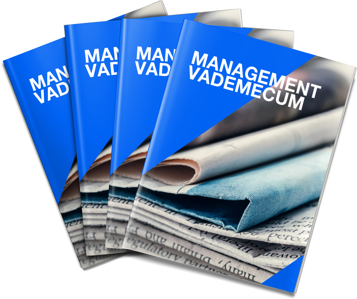 Management-Vademecum