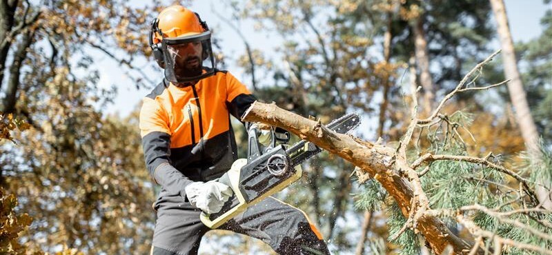 AdobeStock_305190327_2 AdobeStock_305190327_2